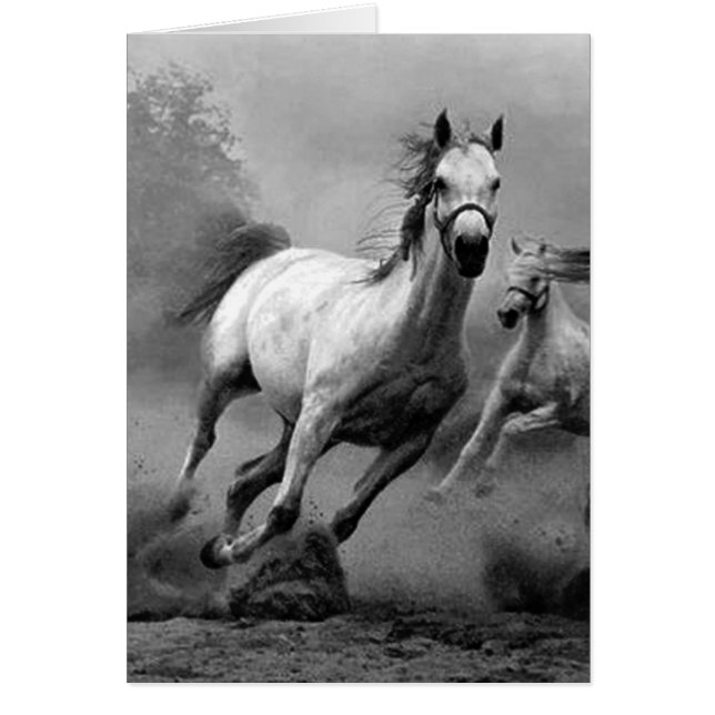 Horse Running (Front)