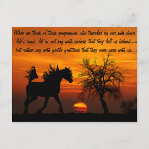 Horse Running Free at Sunset Postcard