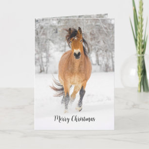 Horse Running in Snow Folded Holiday Card