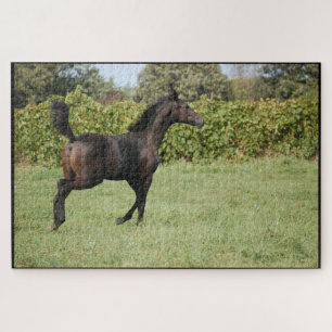 Horse Running in the field Jigsaw Puzzle