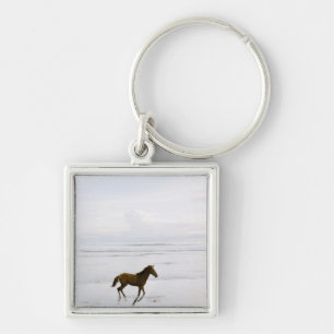 Horse running on the beach key ring