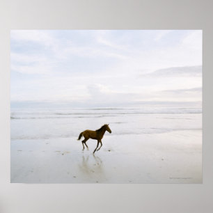 Horse running on the beach poster