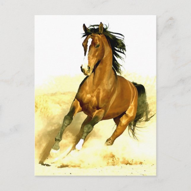 Horse Running Postcard (Front)