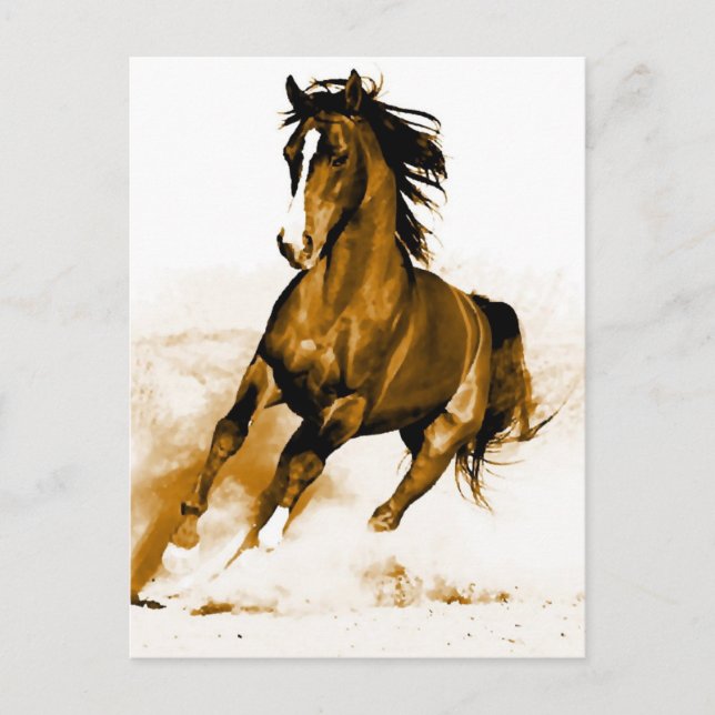 Horse Running Postcard (Front)