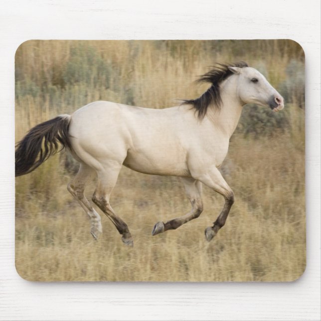 Horse Running Through Prairie Grass Mouse Pad (Front)