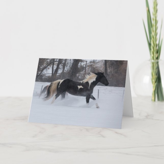 Horse Running Through the Snow Card (Front)