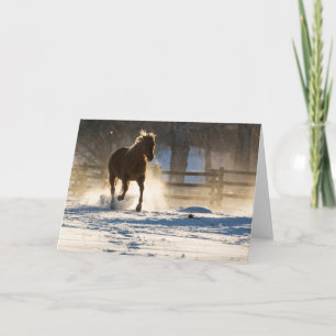 Horse Running Through the Snow Card