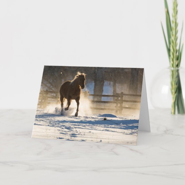 Horse Running Through the Snow Card (Front)