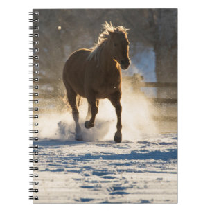 Horse Running Through the Snow Notebook