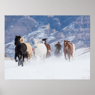 Horse Running Through the Snow Poster