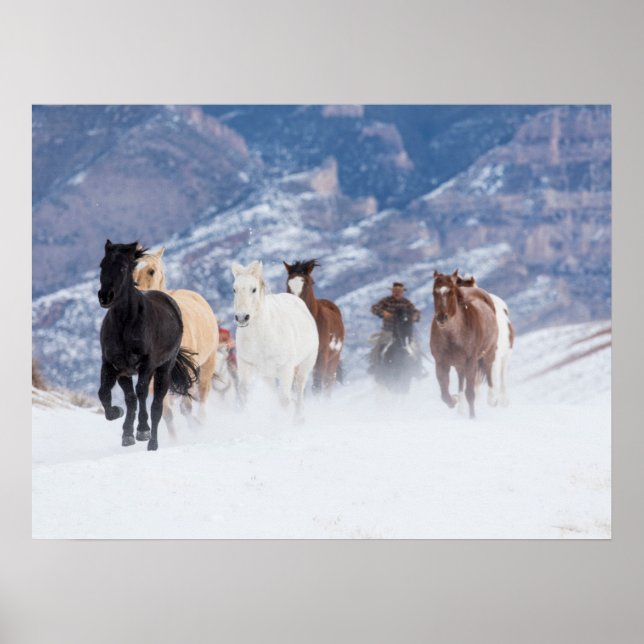 Horse Running Through the Snow Poster (Front)