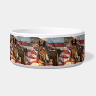 Horse Rustic Barn American Flag