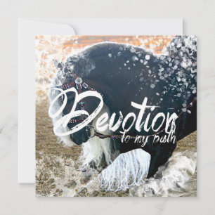 HORSE SERIE 4 - Card, Greeting, Invitation