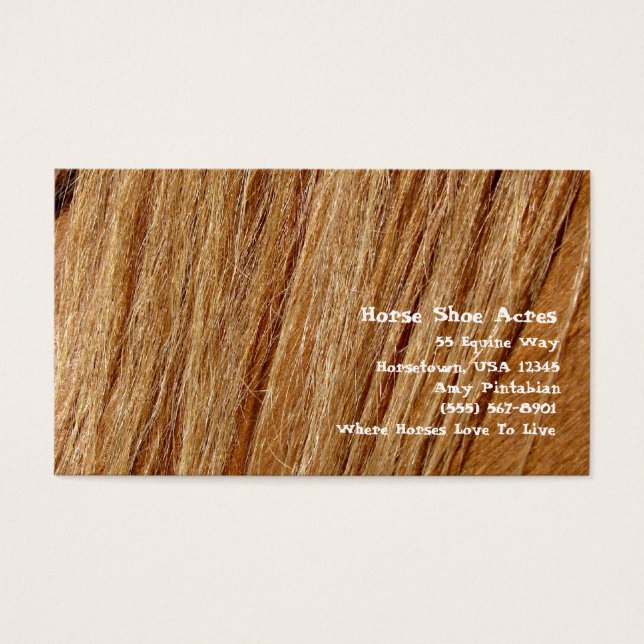 Horse Shoe Acres Sorrel Mane (Front)