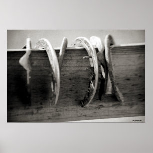 Horse Shoes Poster