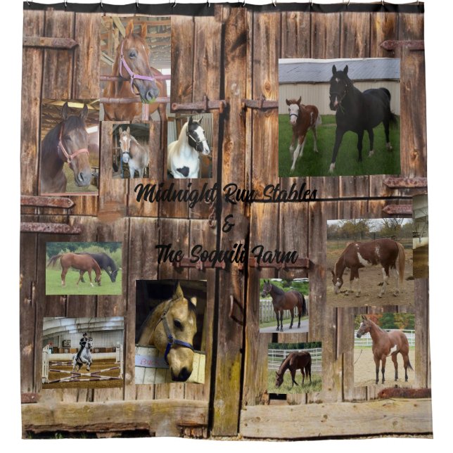 Horse Shower Curtain (Front)