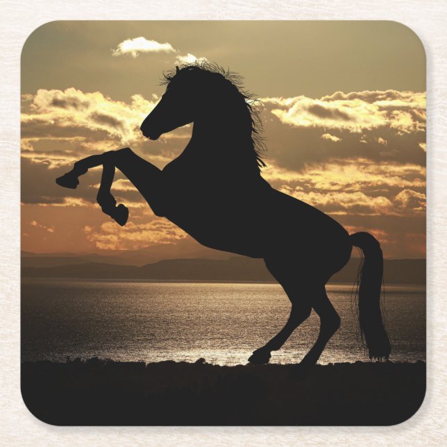 Horse Silhouette Against the Sunset Square Paper Coaster (Front)