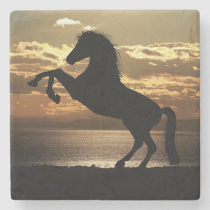 Horse Silhouette Against the Sunset Stone Coaster