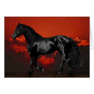 Horse silhouette at sunset