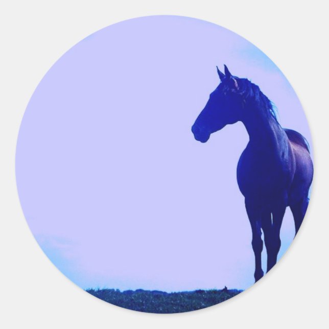 Horse Silhouette Design Sticker (Front)