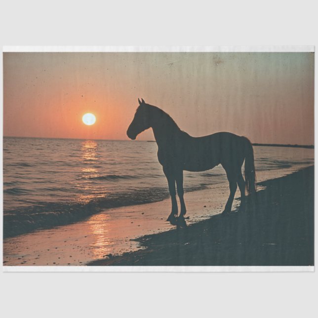 Horse Silhouette Sunset by the Ocean Decoupage Tissue Paper (Front)