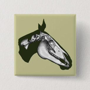 Horse Skeleton 15 Cm Square Badge