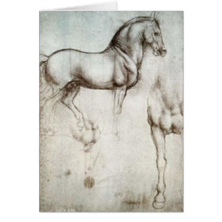 Horse Sketch