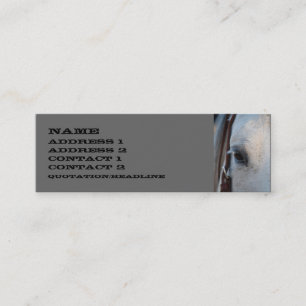 Horse Skinny Business Card