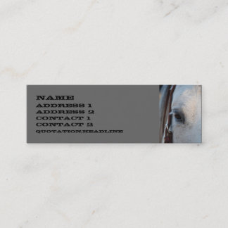 Horse Skinny Business Card
