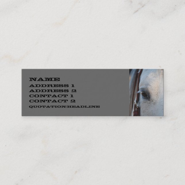 Horse Skinny Business Card (Front)