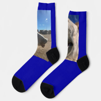 Horse Smiles Socks