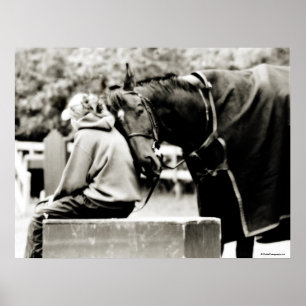 Horse Snuggles Poster