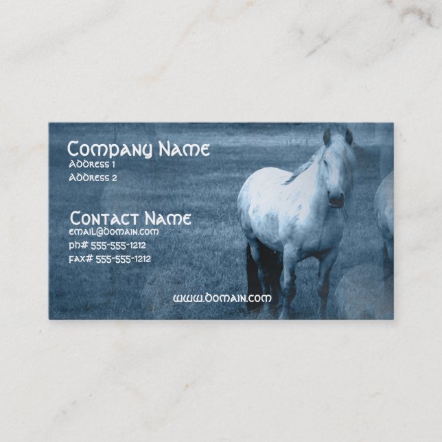 Horse Solitude Business Card (Front)