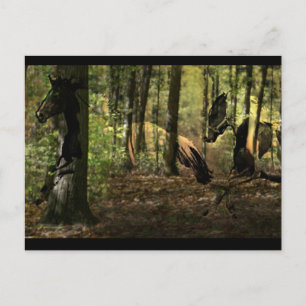 Horse Spirit Postcards