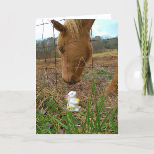 horse & Spring flower Bunny Holiday Card