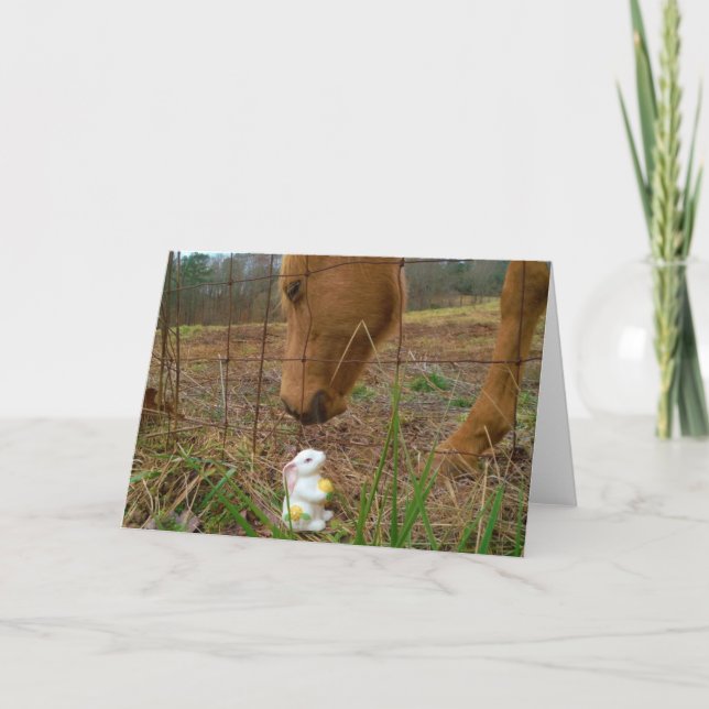 horse & Spring flower Bunny Holiday Card (Front)