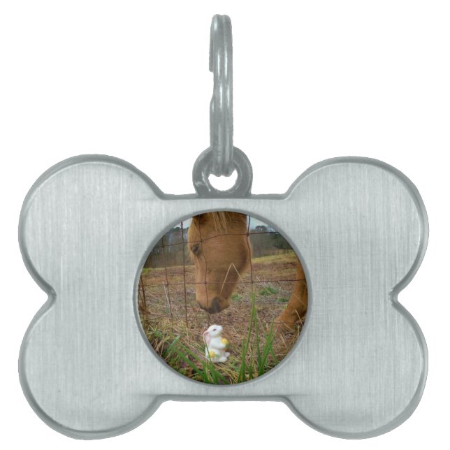 horse & Spring flower Bunny Pet Name Tag (Front)