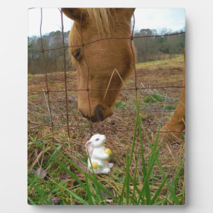 horse & Spring flower Bunny Plaque
