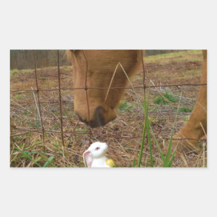 horse & Spring flower Bunny Rectangular Sticker