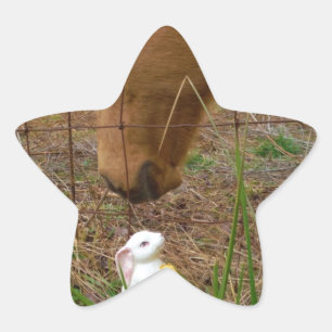 horse & Spring flower Bunny Star Sticker