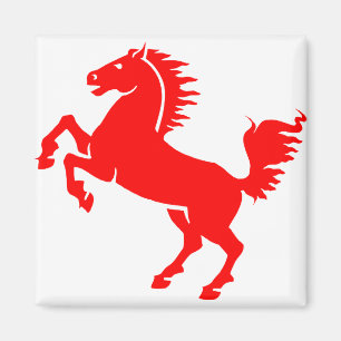 Horse Stallion Equestrian Animal Equine Mane Magnet