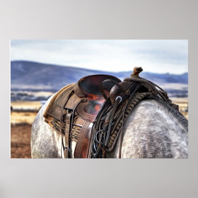 Horse Stallion Saddle Photo Nature Wall Poster (Front)