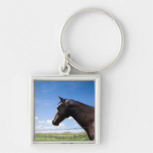Horse standing at fence in pasture key ring