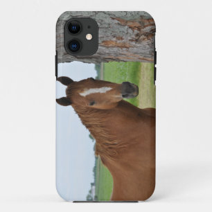 Horse Standing By Tree Case