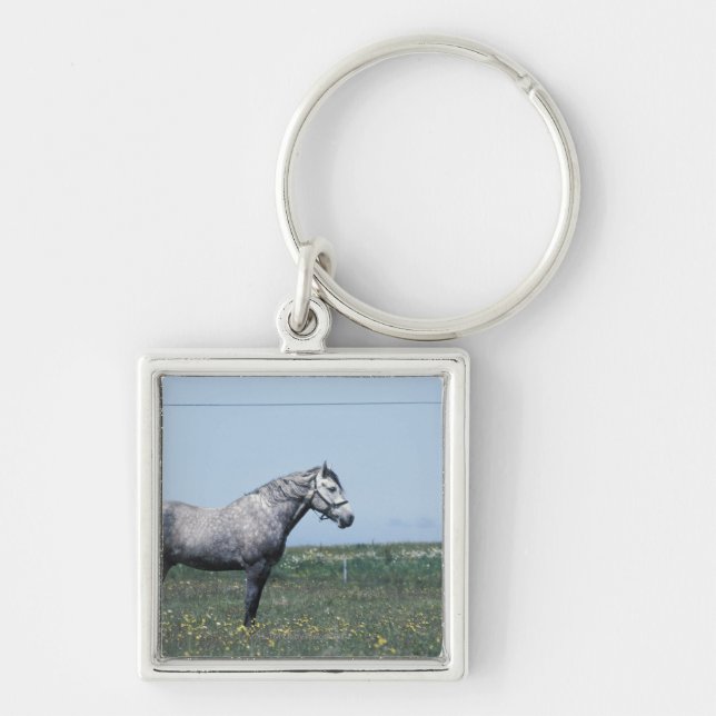 Horse standing in field key ring (Front)