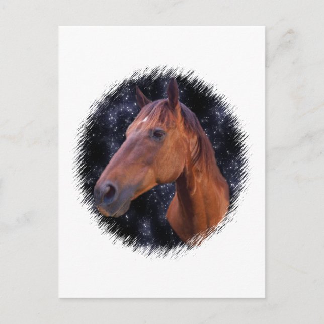 Horse stars postcard (Front)