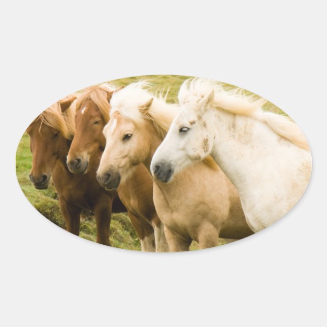 Horse sticker (Front)
