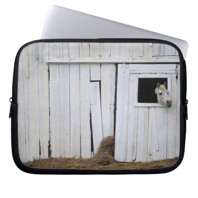 Horse Sticking Head out Barn Window Laptop Sleeve (Front)