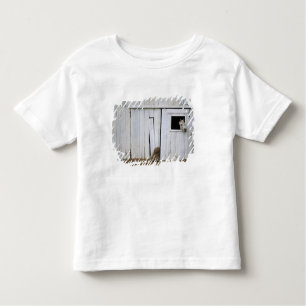 Horse Sticking Head out Barn Window Toddler T-Shirt