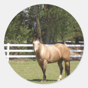 Horse sticks classic round sticker